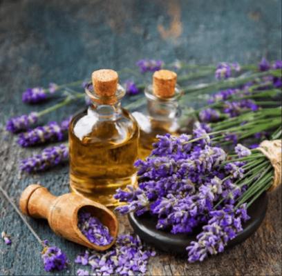 Lavender
