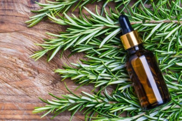 Tea Tree