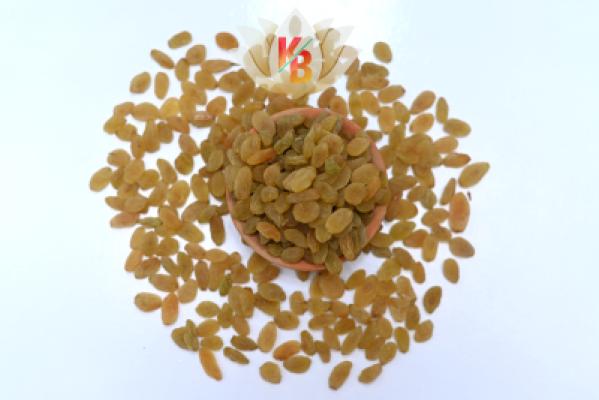 Indian Kismis