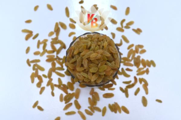 Indian Kismis Premium